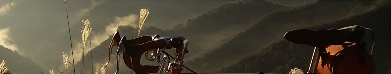 CanCanの気楽な一日