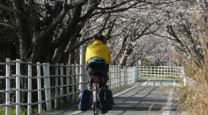 「桜」動画集