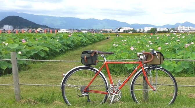 走れない日が続いています