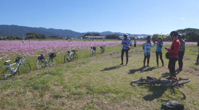 ゆるゆるCC「高取町かかしライド」