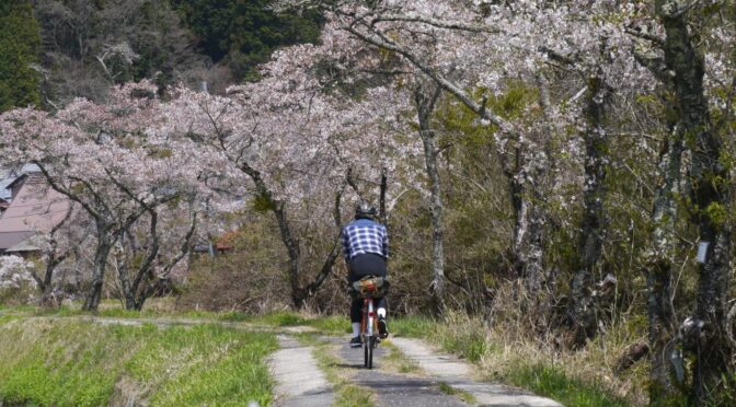 久し振りに「自撮り」の準備をして…
