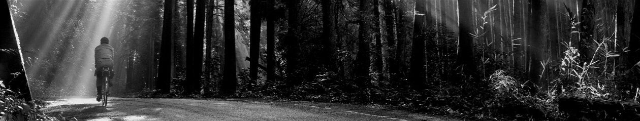 CanCanの気楽な一日